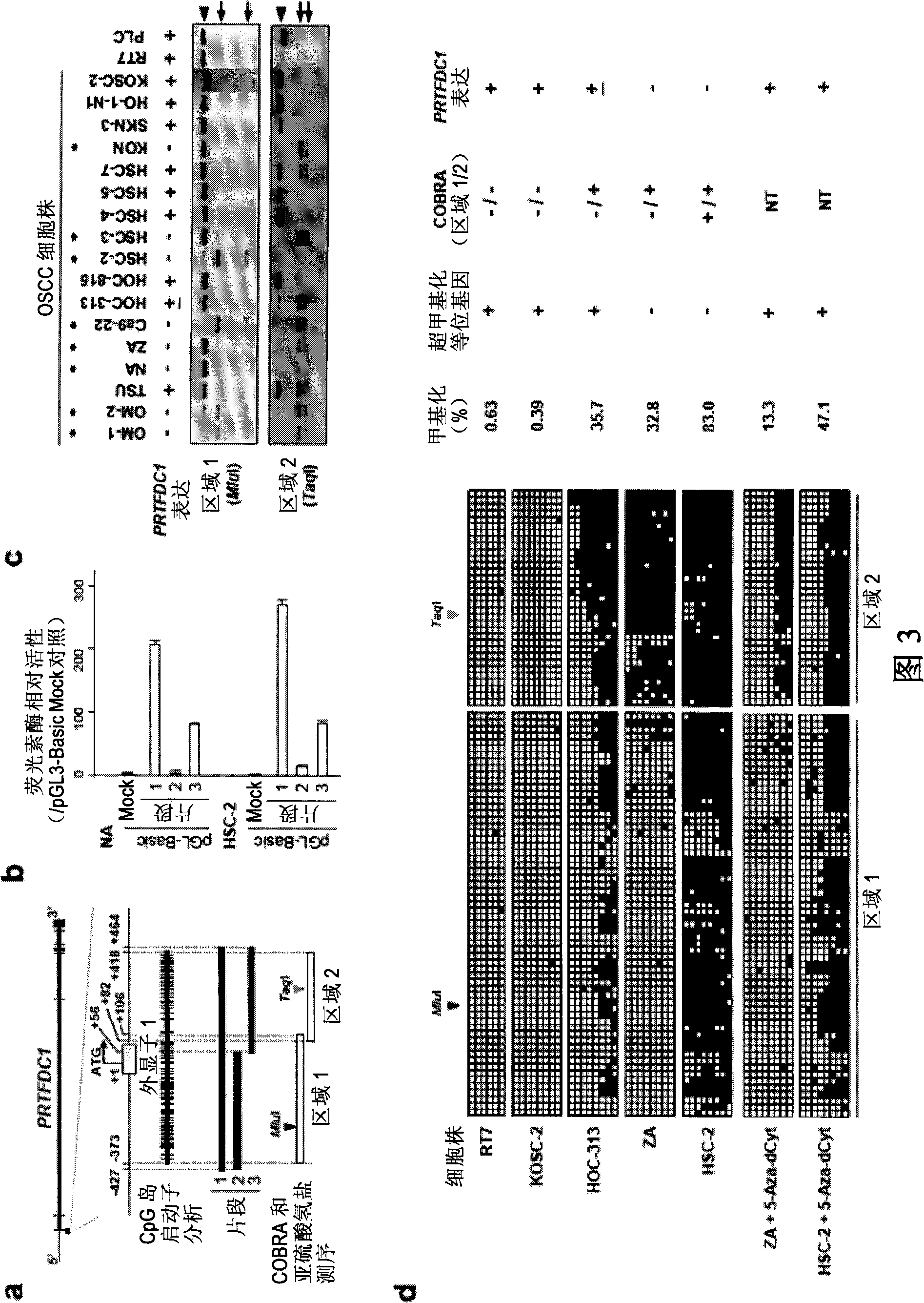 Method for detecting oral squamous-cell carcinoma and method for suppressing the same