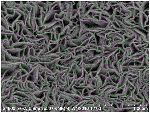 Method for growing manganese dioxide nano wall film on conductive substrate