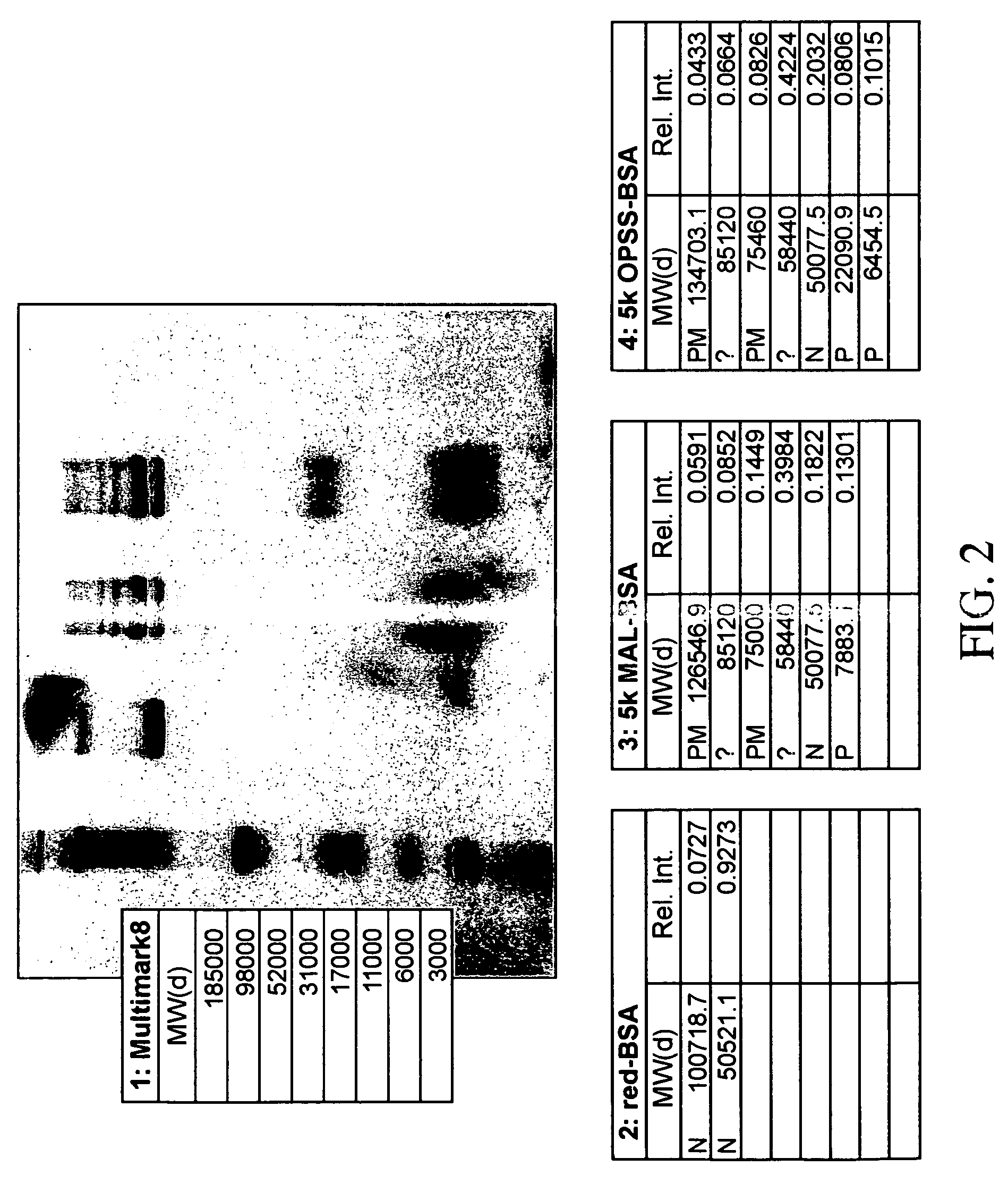 Stabilized polymeric thiol reagents