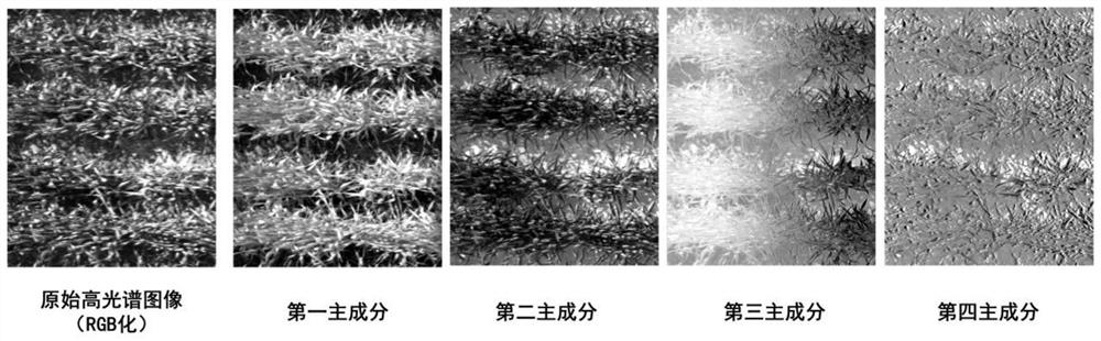 Wheat plant nitrogen content estimation method based on hyperspectral image fusion map characteristics