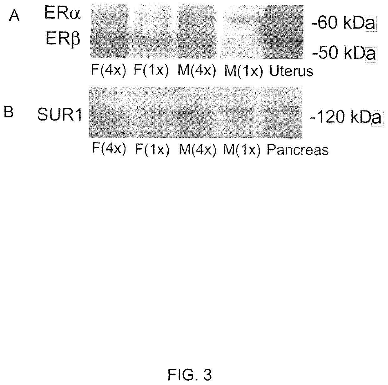 Therapeutic methods that target the NC<sub>CA-ATP </sub>channel