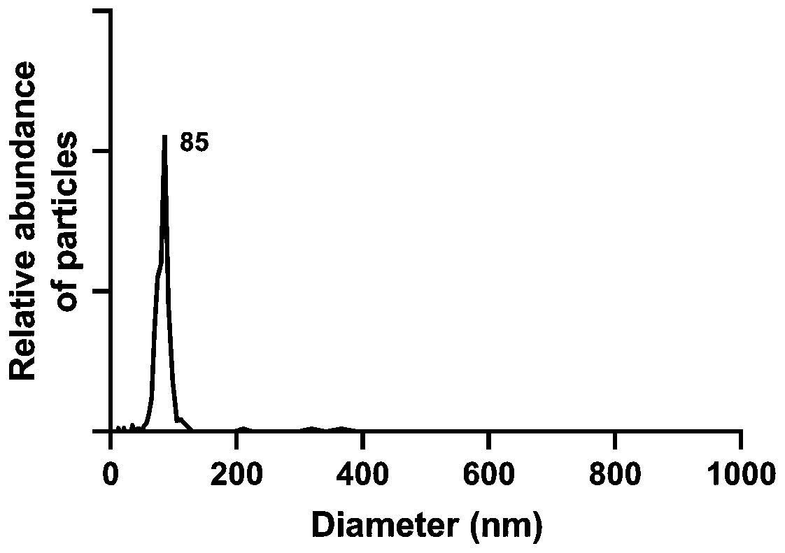 Application of exosome derived from carcass in skin regulation product