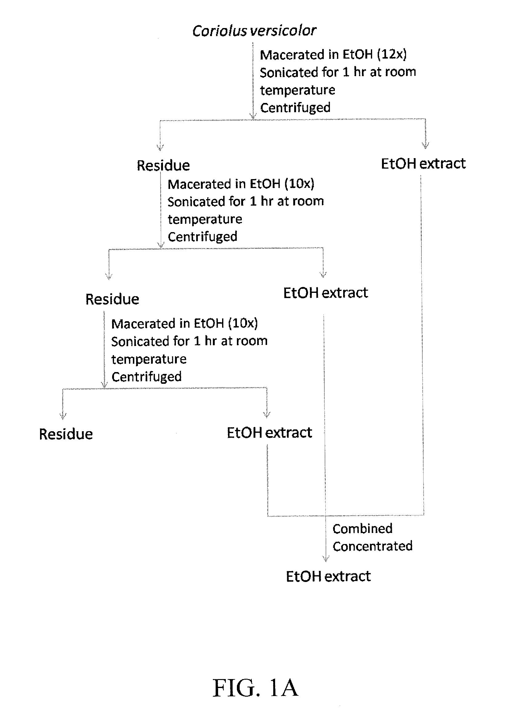 Coriolus versicolor extracts, methods of isolating biologically-active compounds, and uses thereof