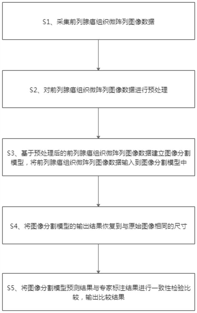 Prostate cancer tissue microarray grading method based on convolutional neural network