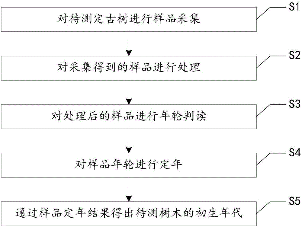 Method for dating tree rings and device for implementing method