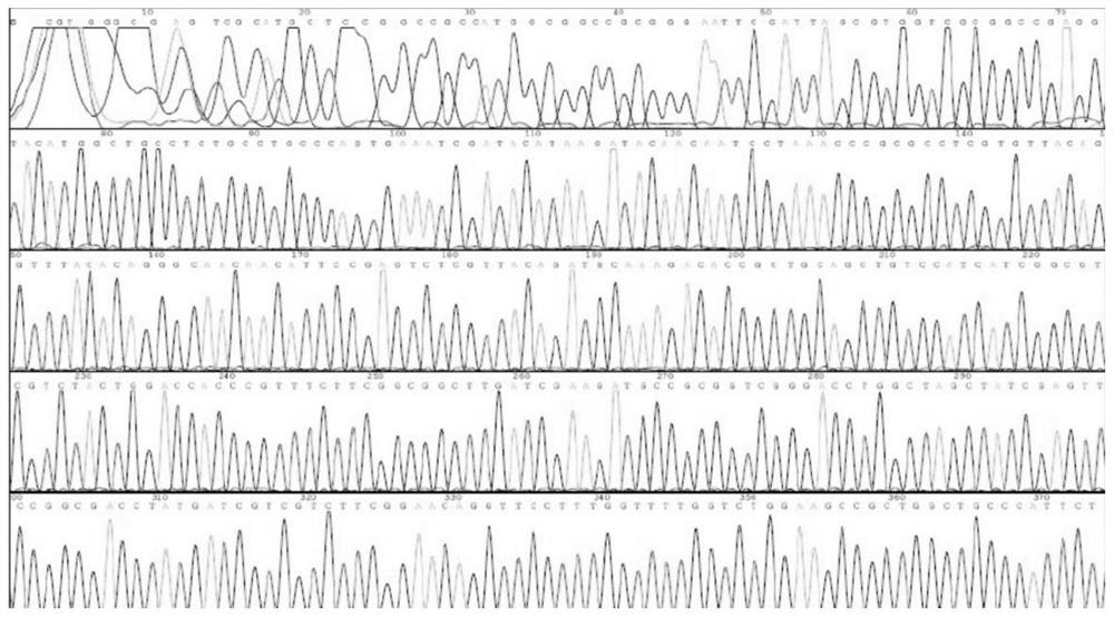 A hla sequencing peak map identification method