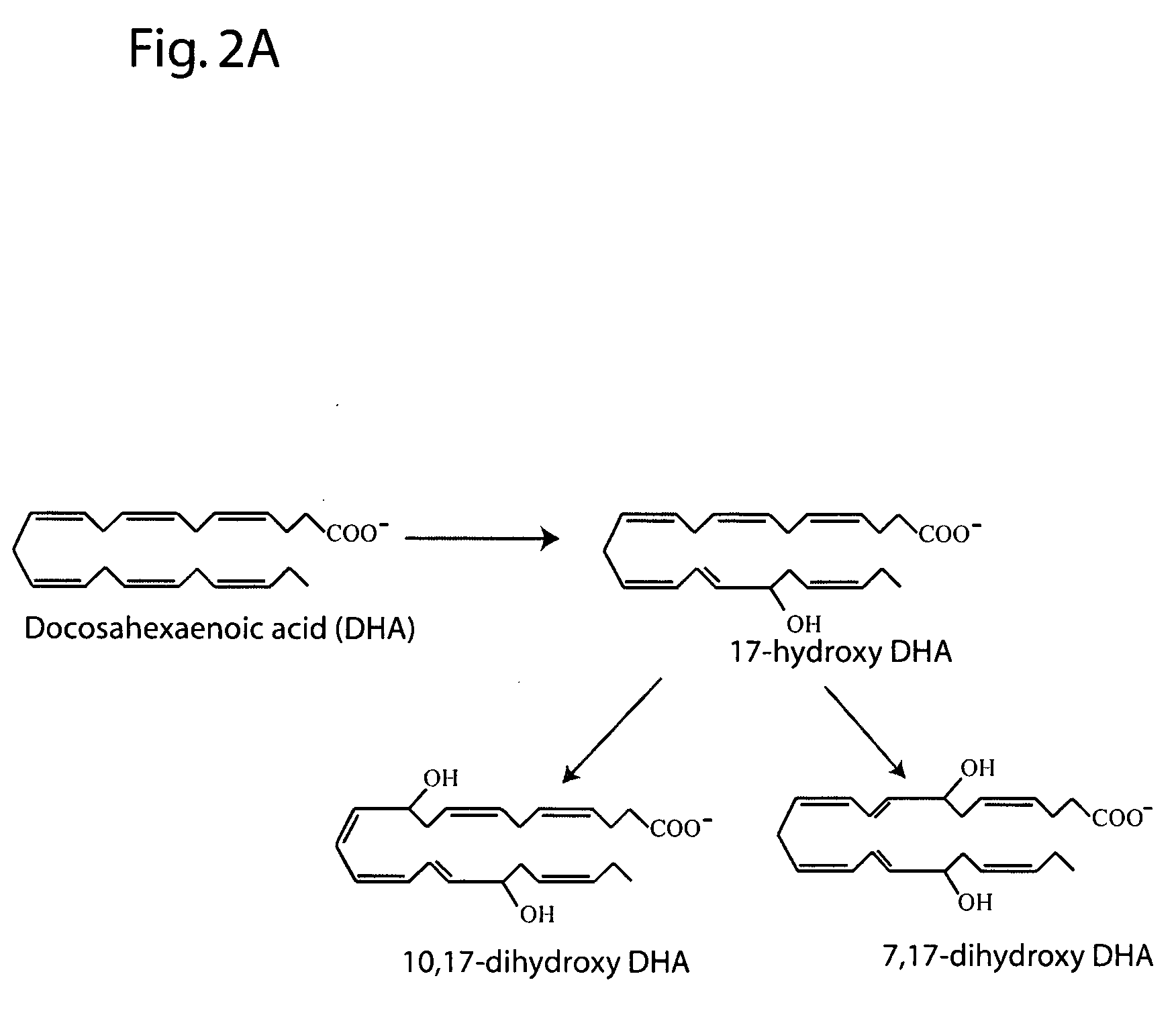 Oxylipins from long chain polyunsaturated fatty acids and methods of making and using the same