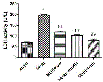 Application of panax japonicus IV a in prevention and treatment of cardiovascular disease and complication of cardiovascular disease