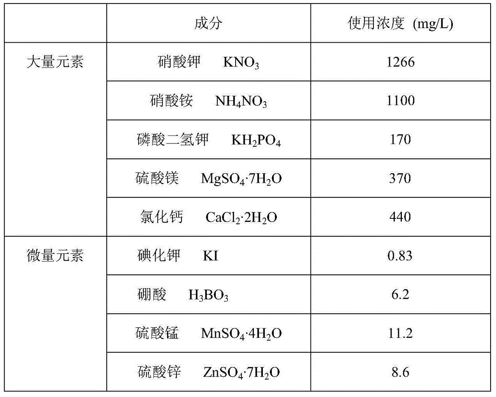 Method for increasing breeding efficiency of wild rice and cultivated rice distant hybridization embryo rescue