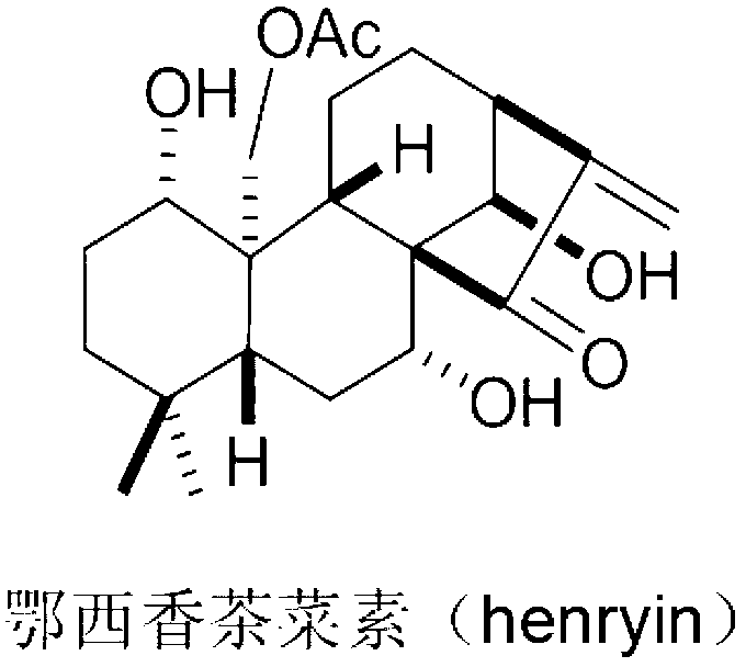 Application of isodon henryi as Wnt signal path inhibitor and anti-cancer drug