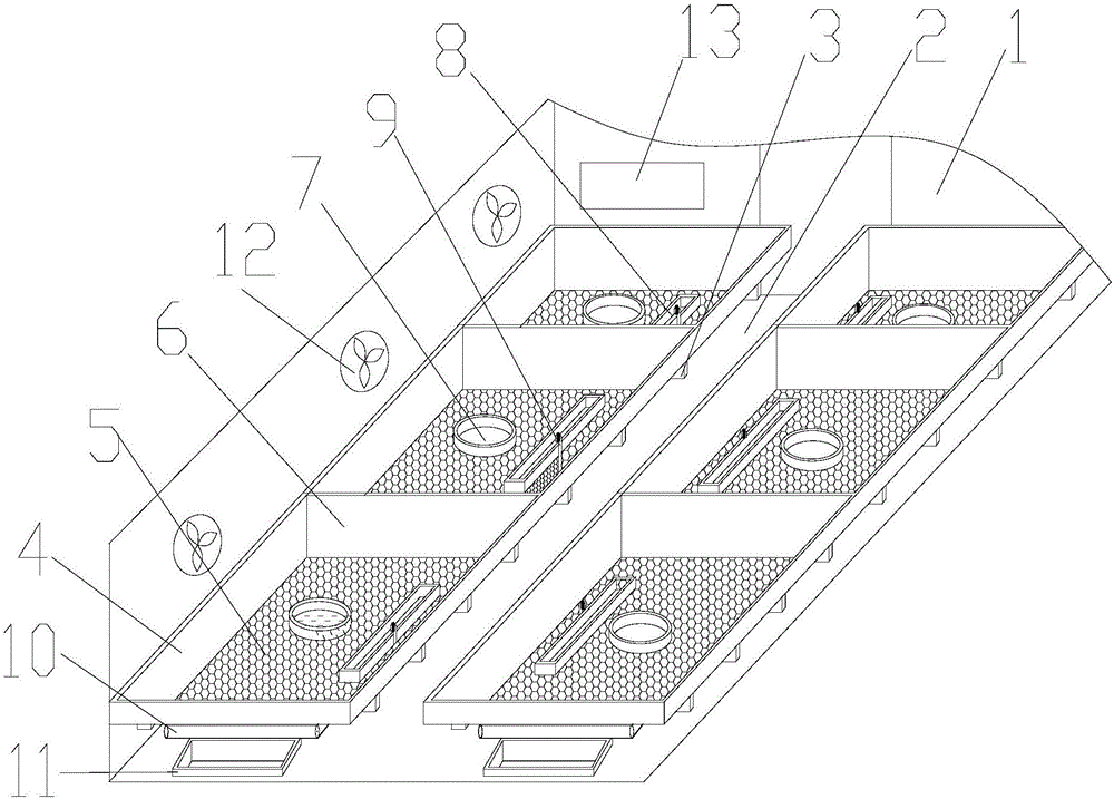 Chick cultivating device