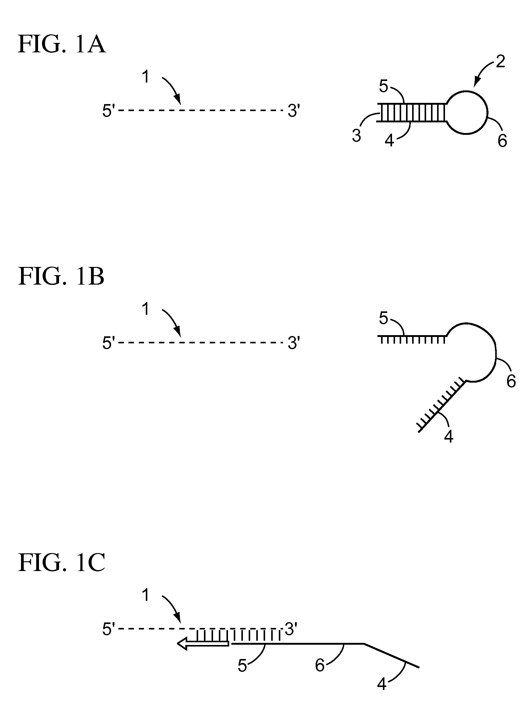 Hot start reverse transcription by primer design