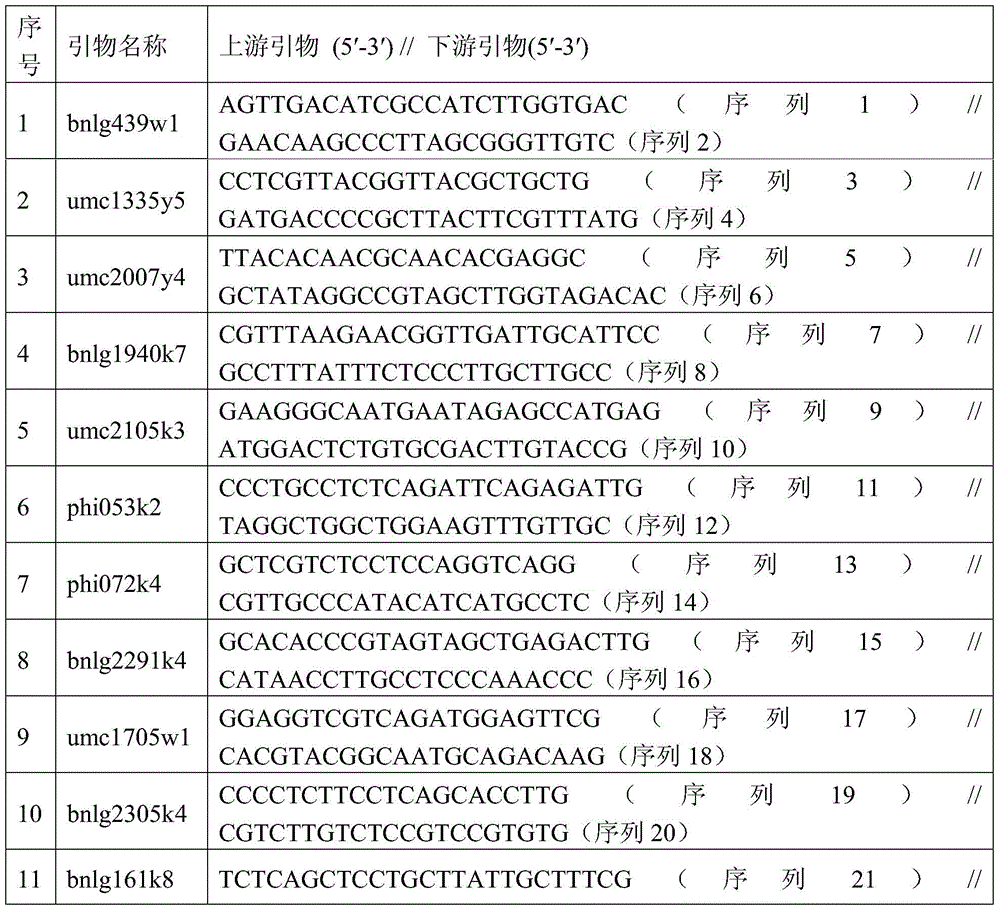 Seed production method of nk718 three-line mating hybrid