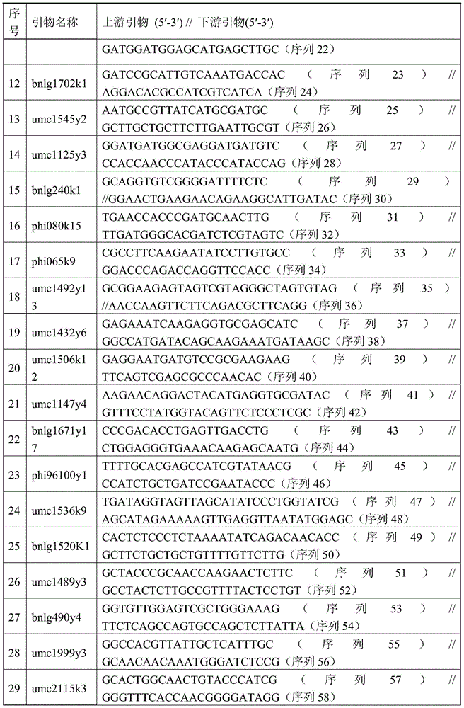 Seed production method of nk718 three-line mating hybrid