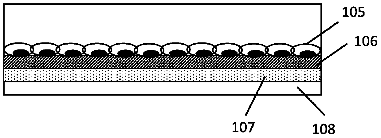 A culture dish device and a method for culturing cell membranes