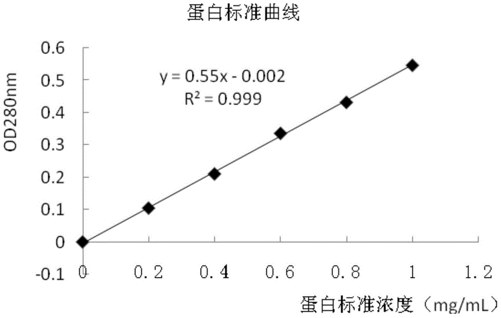 Method for marking protein by carboxyl microsphere