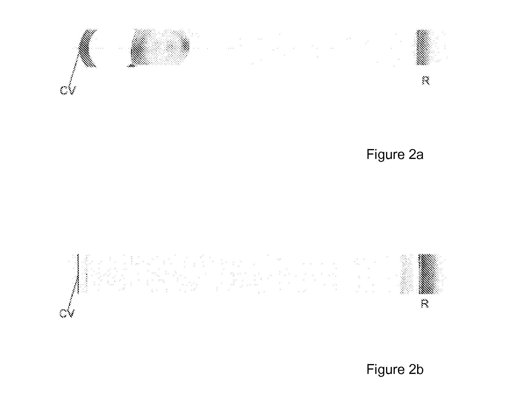 Device for reliably determining biometric measurement variables of the whole eye