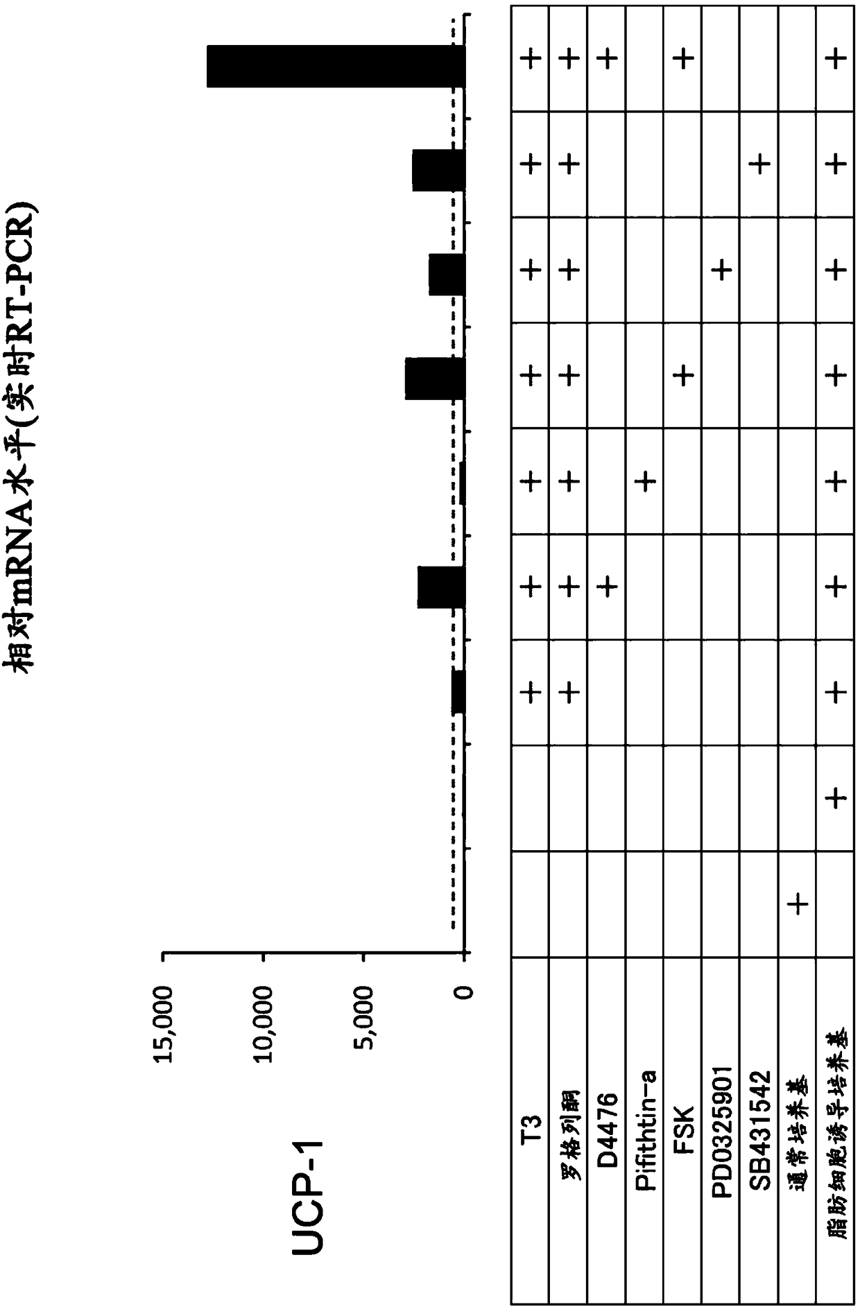 Method for preparing brown adipocyte