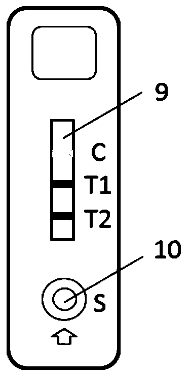 Duplex test strip for detecting methamphetamine and ketamine as well as preparation method and application method of duplex test strip