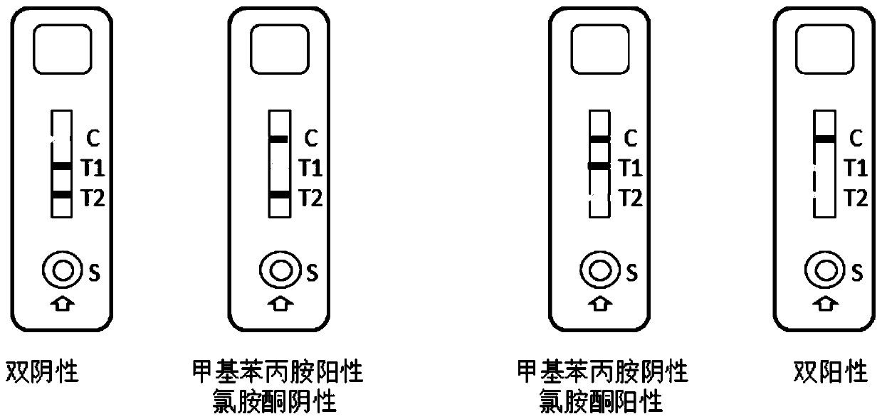 Duplex test strip for detecting methamphetamine and ketamine as well as preparation method and application method of duplex test strip