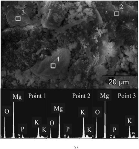 Red mud-based high-performance building repairing material as well as preparation method and application thereof