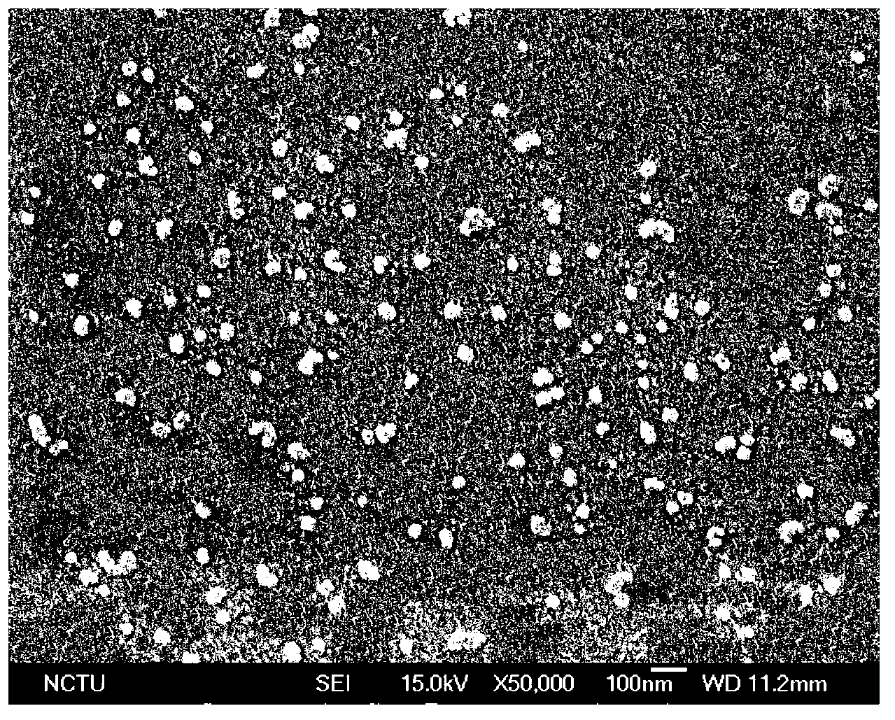 Dimethyl-siloxane-modified poly(2-hydroxyethyl methacrylate-methacrylic acid) amphiphilic copolymer and preparation method thereof