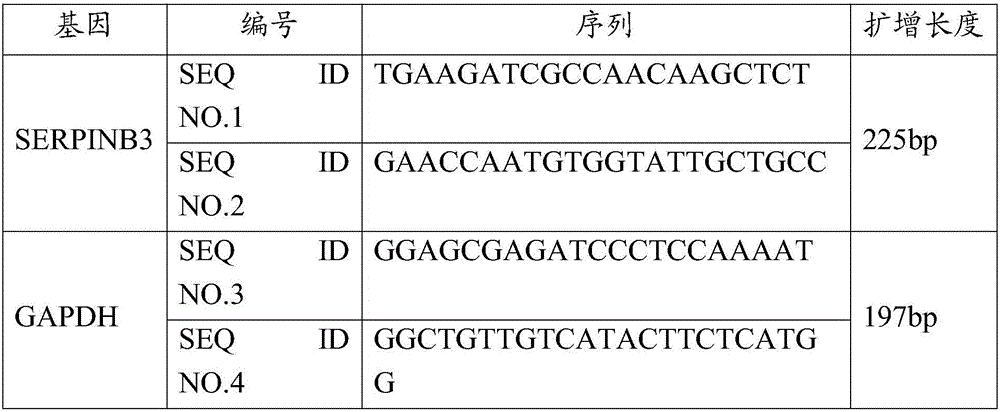 Application of SERPINB3 gene in preparing osteoarthritis diagnosis preparation