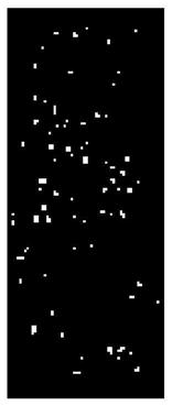 Finger vein image noise accurate extraction and adaptive filtering denoising method and device