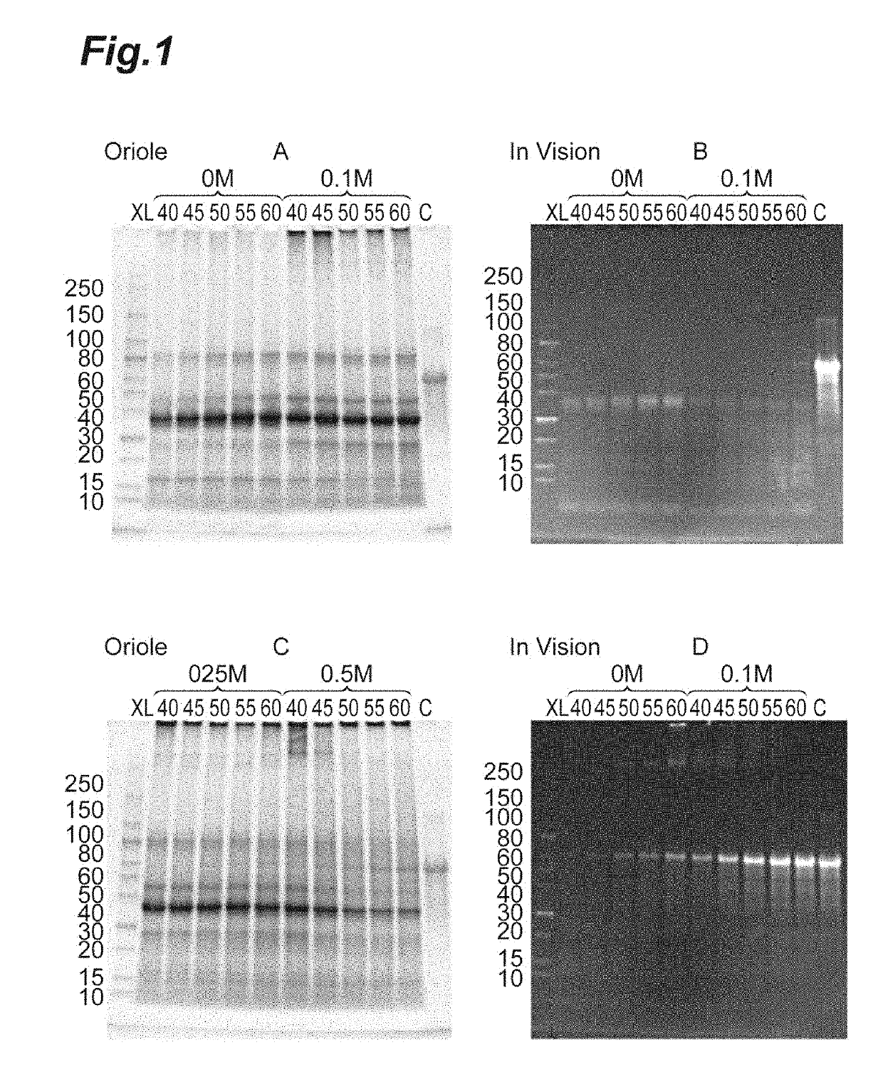 Method for Purifying Recombinant Protein