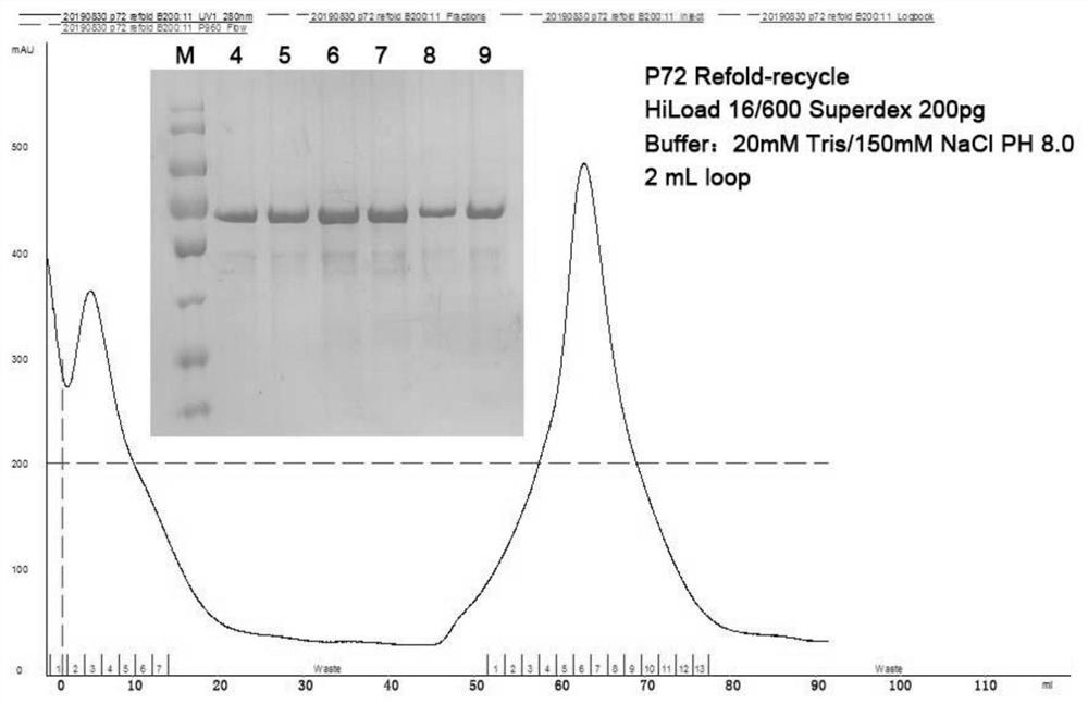 Double-antibody sandwich ELISA based on African swine fever virus p72 gene and application of double-antibody sandwich ELISA