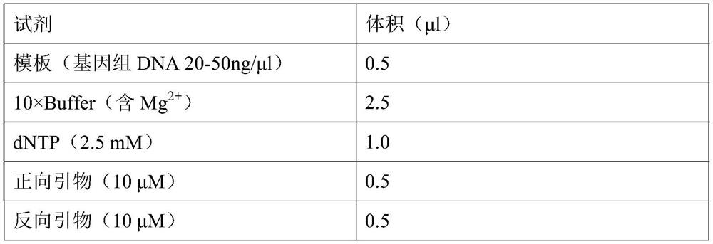 Novosphingobium and application thereof in wastewater phosphorus removal