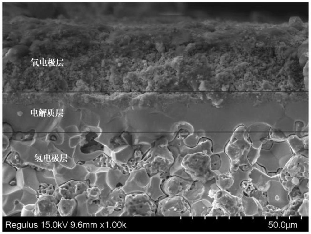 Method for preparing ceramic composite membrane of proton conduction type solid oxide pool through water-based tape casting