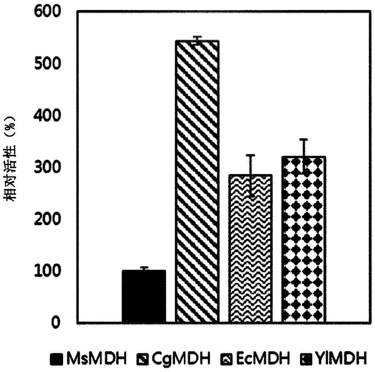 Succinic acid-producing mutant microorganism into which high activity malate dehydrogenase is introduced, and method for preparing succinic acid by using same