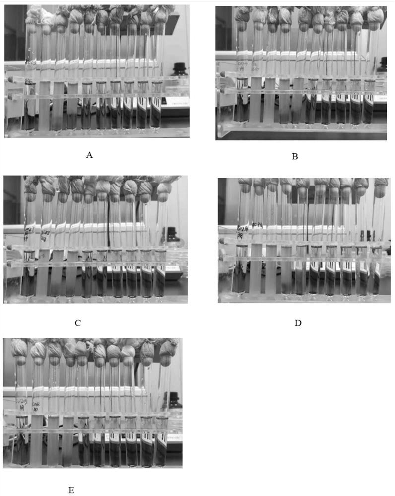 A compound composition of citral and carvacrol and its application