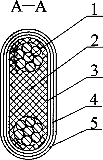 Temp control electric heating cable and producing method