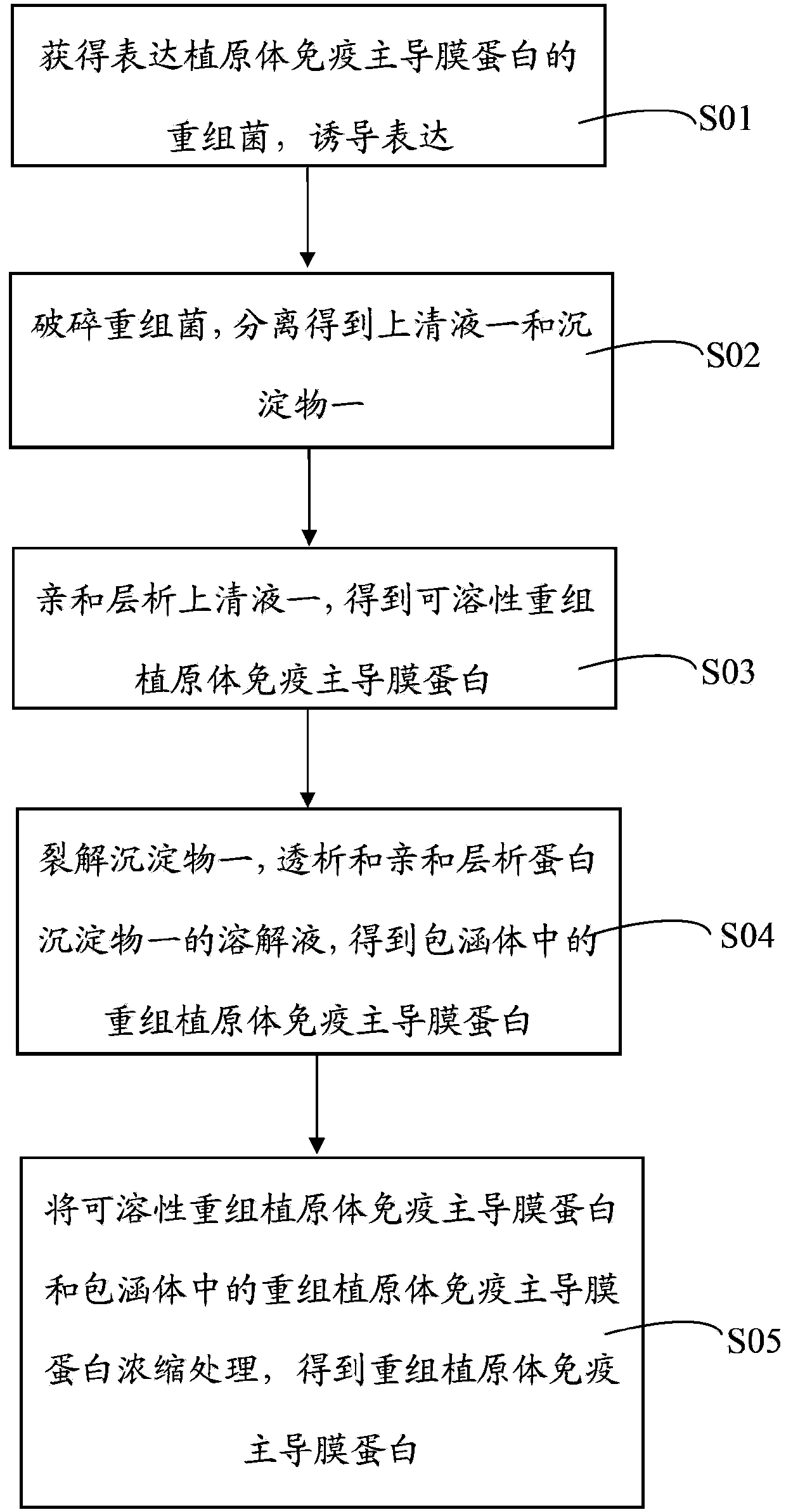 Purification method of immunodominant membrane protein of recombinant phytoplasma and application thereof