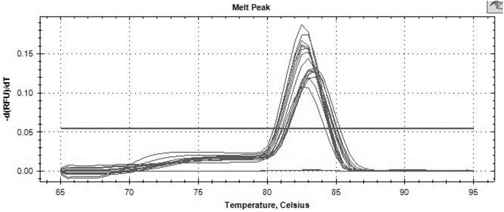 Fluorogenic quantitative PCR kit for detecting swine transmissible gastroenteritis virus