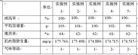 Meat goose feed and preparation method thereof