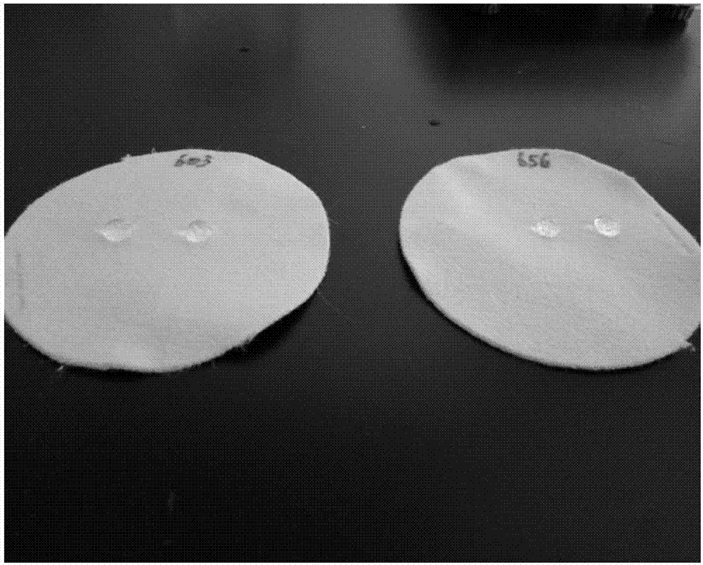 Dust removal filter material finishing liquid, preparation method and application thereof