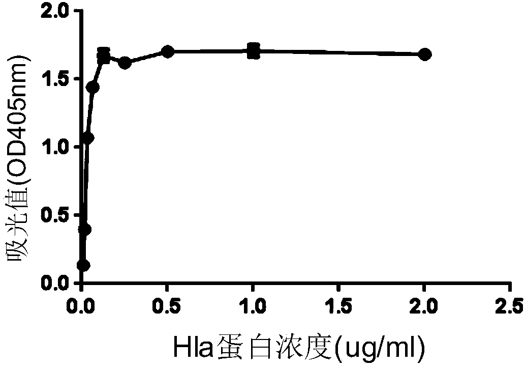 Anti-Staphylococcus aureus alpha hemolysin monoclonal antibody and applications thereof