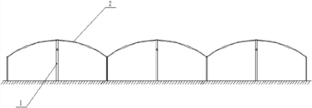 Rainproof cultivation method of peach trees