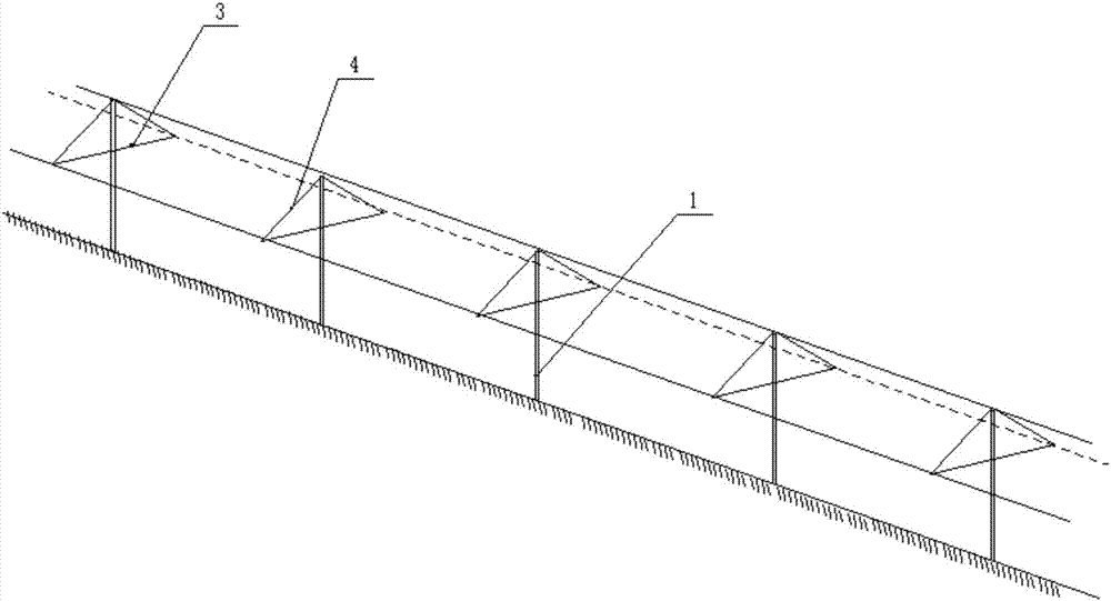 Rainproof cultivation method of peach trees