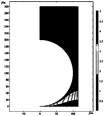 Method for electrolytic machining of microtexture