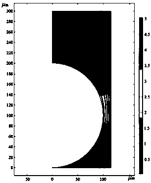 Method for electrolytic machining of microtexture