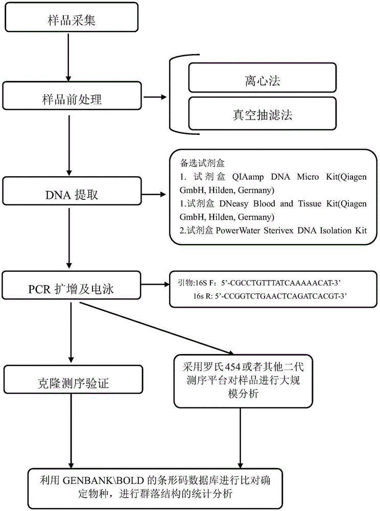 Environment DNA identification method for fish community structure researching