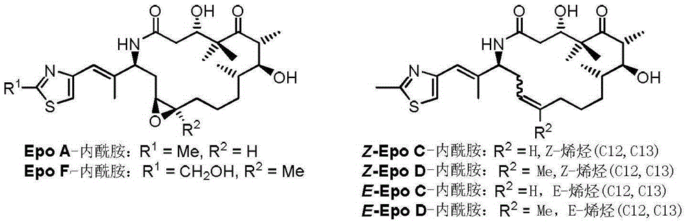 Process for ixabepilone, and intermediates thereof