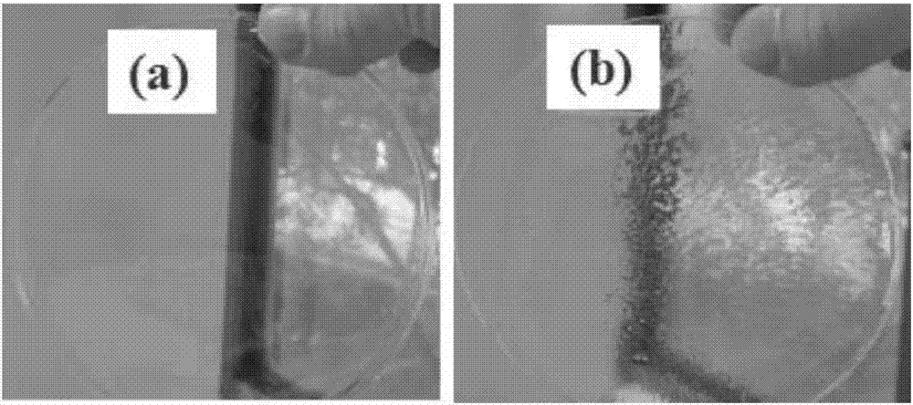 Polycarbonate polyols, and preparation method and applications thereof