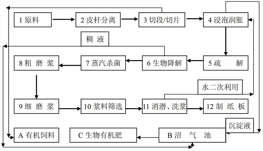 Biological flora and biological bacterium liquid pulping method