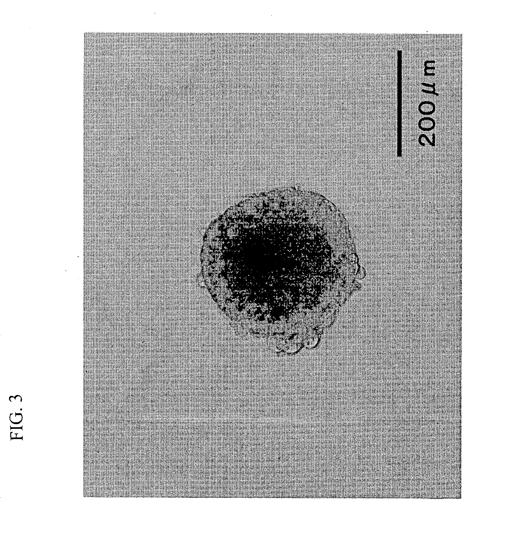 Container for germ layer formation and method of forming germ layer