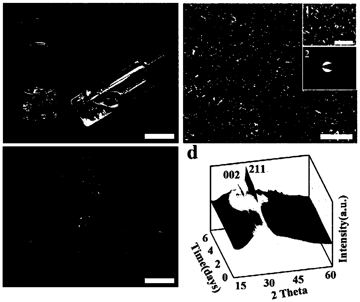 Calcium phosphate nanoclusters, and preparation method and application thereof